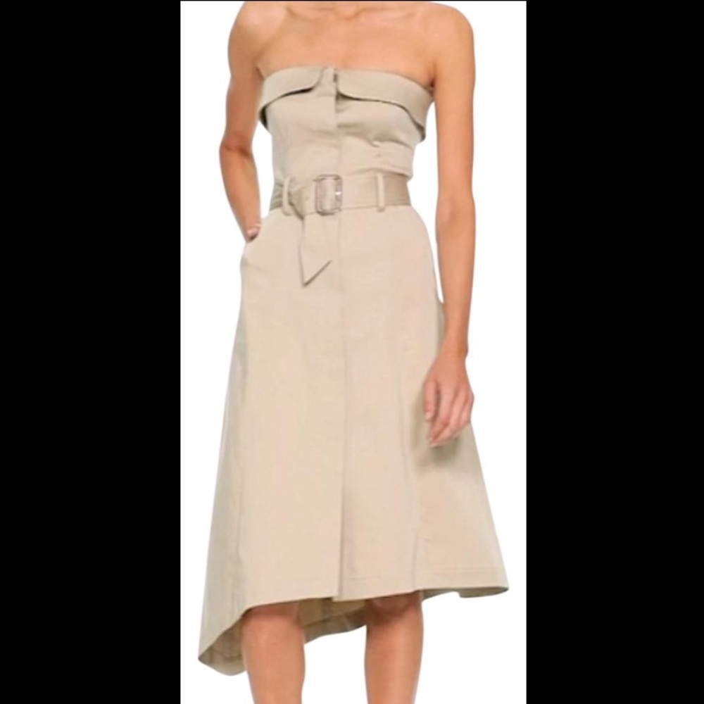 Banana Republic Asymmetrical Strapless Dress